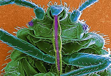 科隆：《第一后裔》新预告 美女战斗赏心悦目